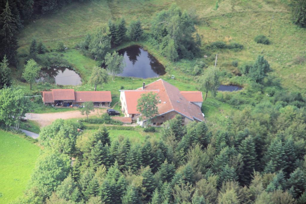 Gites De La Racine Girmont-Val-dʼAjol Exteriér fotografie